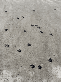 El Salvador Gets an Edge Weight Services